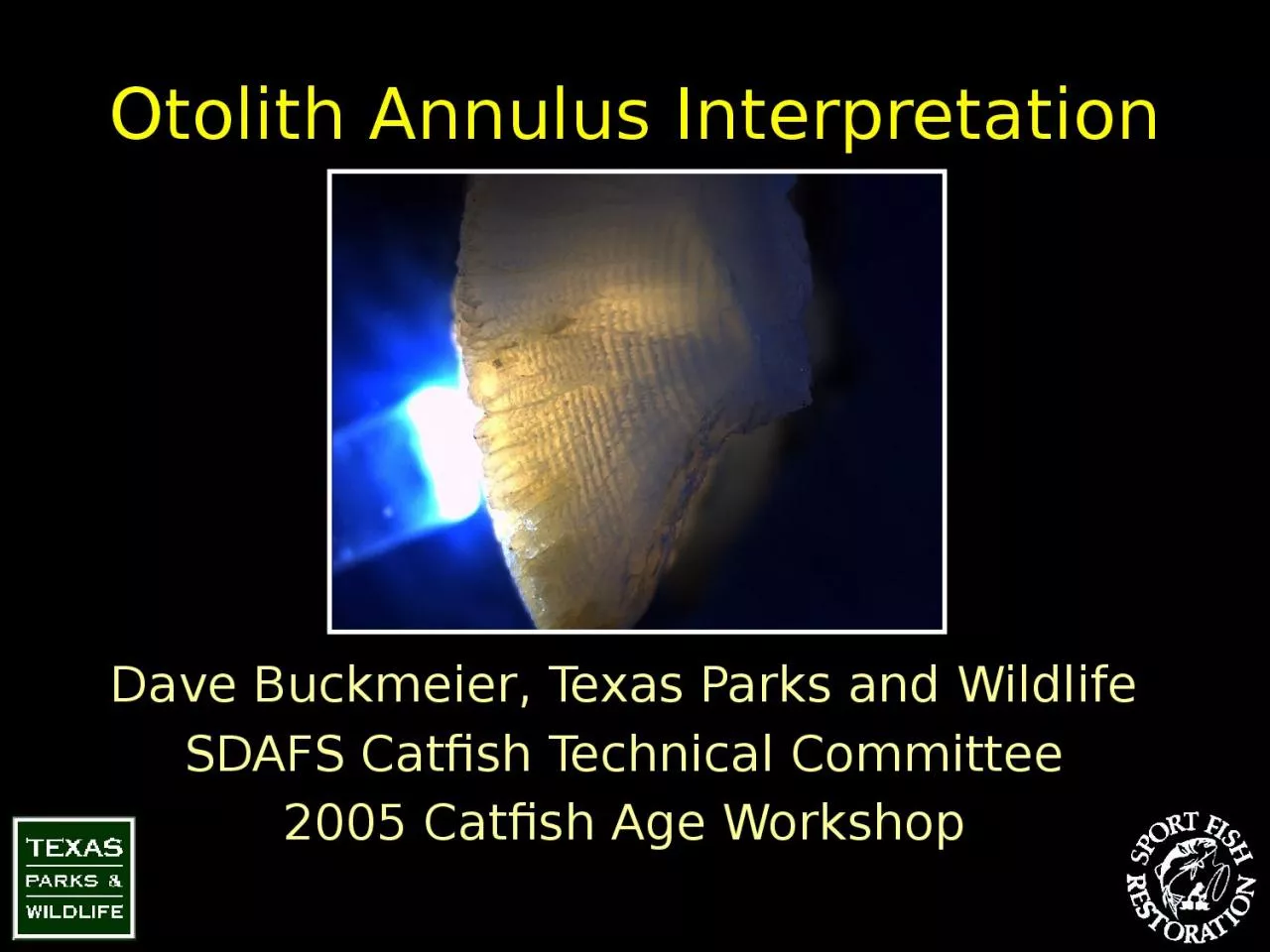 PPT-Otolith Annulus Interpretation