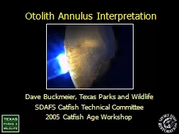 Otolith Annulus  Interpretation