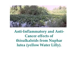 Anti-Inflammatory and Anti-Cancer effects of thioalkaloids from