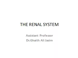 PPT-THE RENAL SYSTEM Assistant Professor