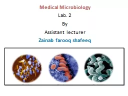 PPT-Medical Microbiology Lab. 2