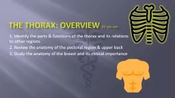 1. Identify the parts & functions of the thorax and its relations to other regions