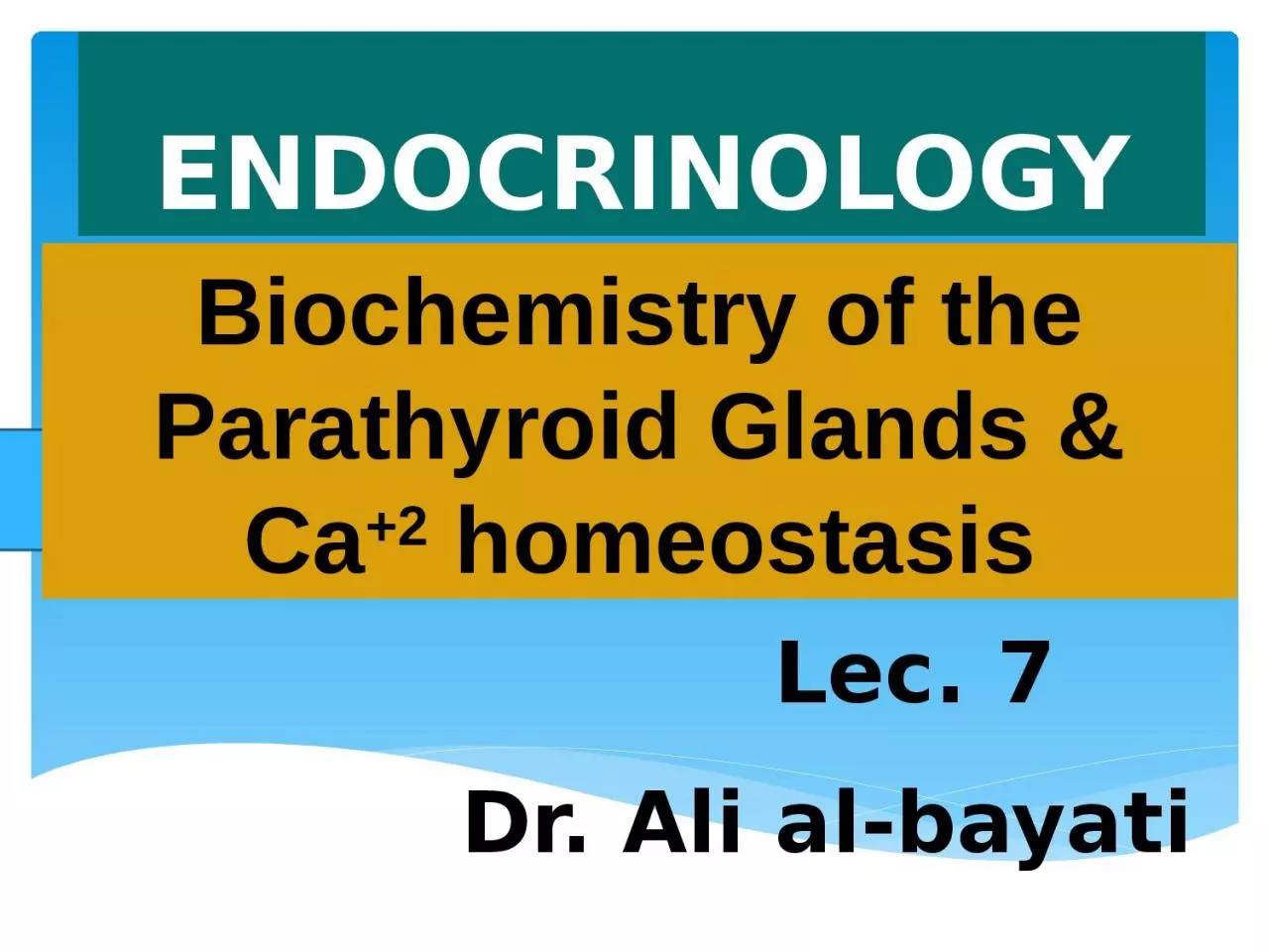 ENDOCRINOLOGY Lec.  7 Dr. Ali al-bayati