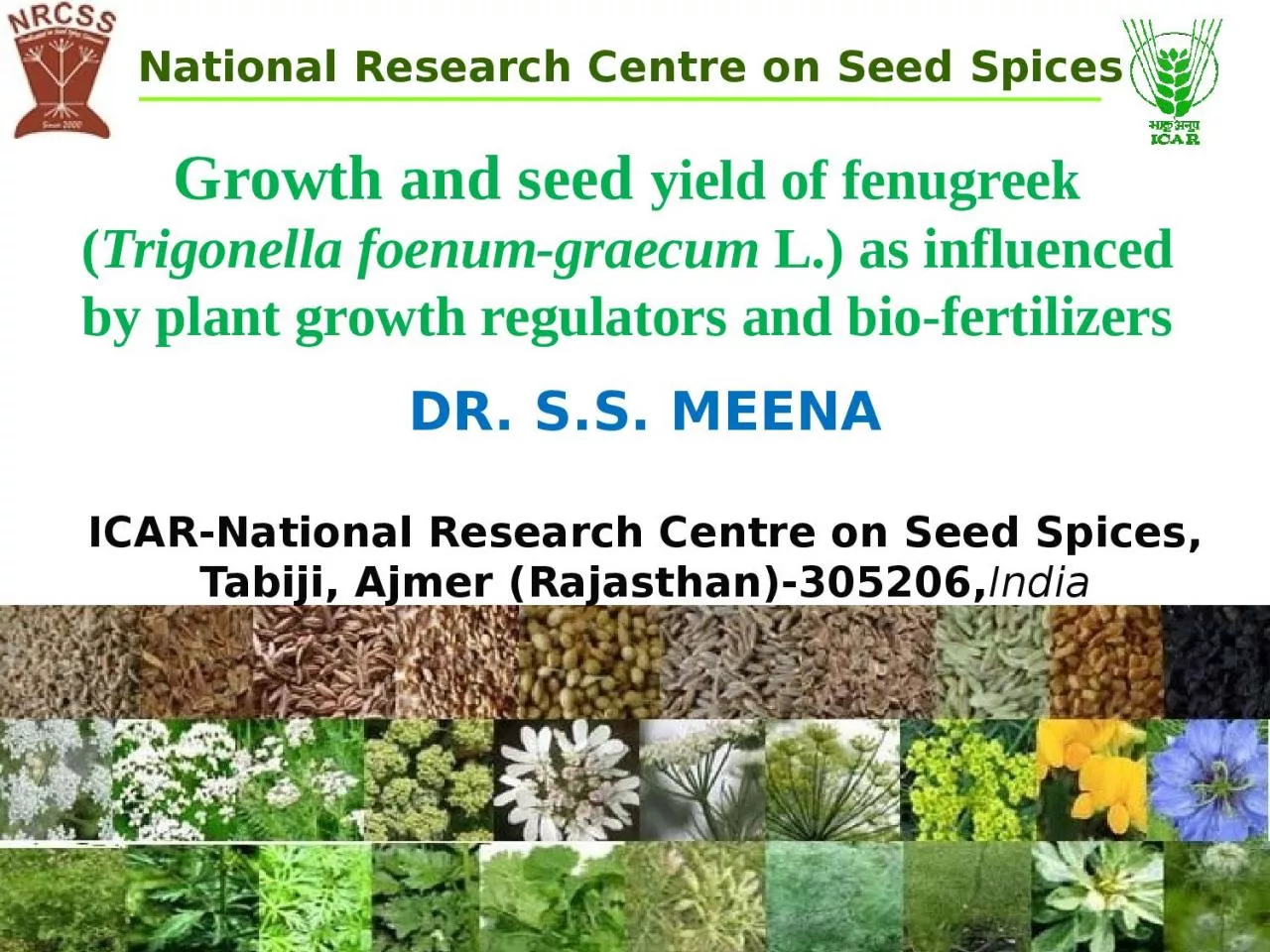 PPT-Dr. S.S. Meena ICAR-National Research Centre on Seed Spices,