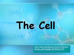 The   Cell http:// www.youtube.com/watch?feature=player_detailpage&v=gFuEo2ccTPA