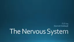 The Nervous System CLS 224