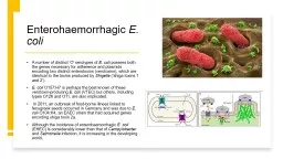 Enterohaemorrhagic  E. coli