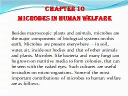 CHAPTER 10 MICROBES IN HUMAN WELFARE
