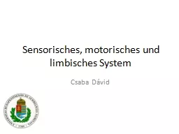 Sensorisches, motorisches