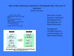Blue Crabs ( Callinectus