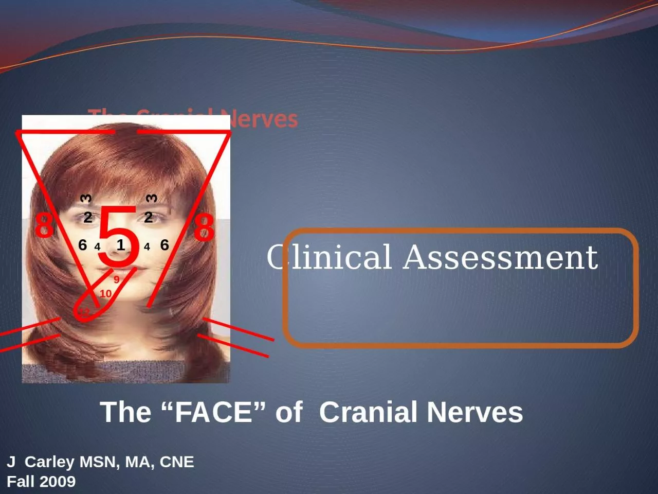 PPT-The Cranial Nerves Clinical Assessment