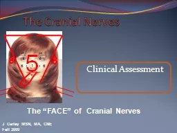 The Cranial  Nerves Clinical Assessment