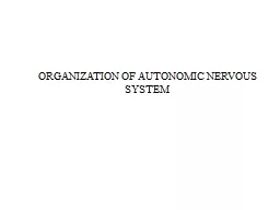 ORGANIZATION OF  AUTONOMIC NERVOUS SYSTEM