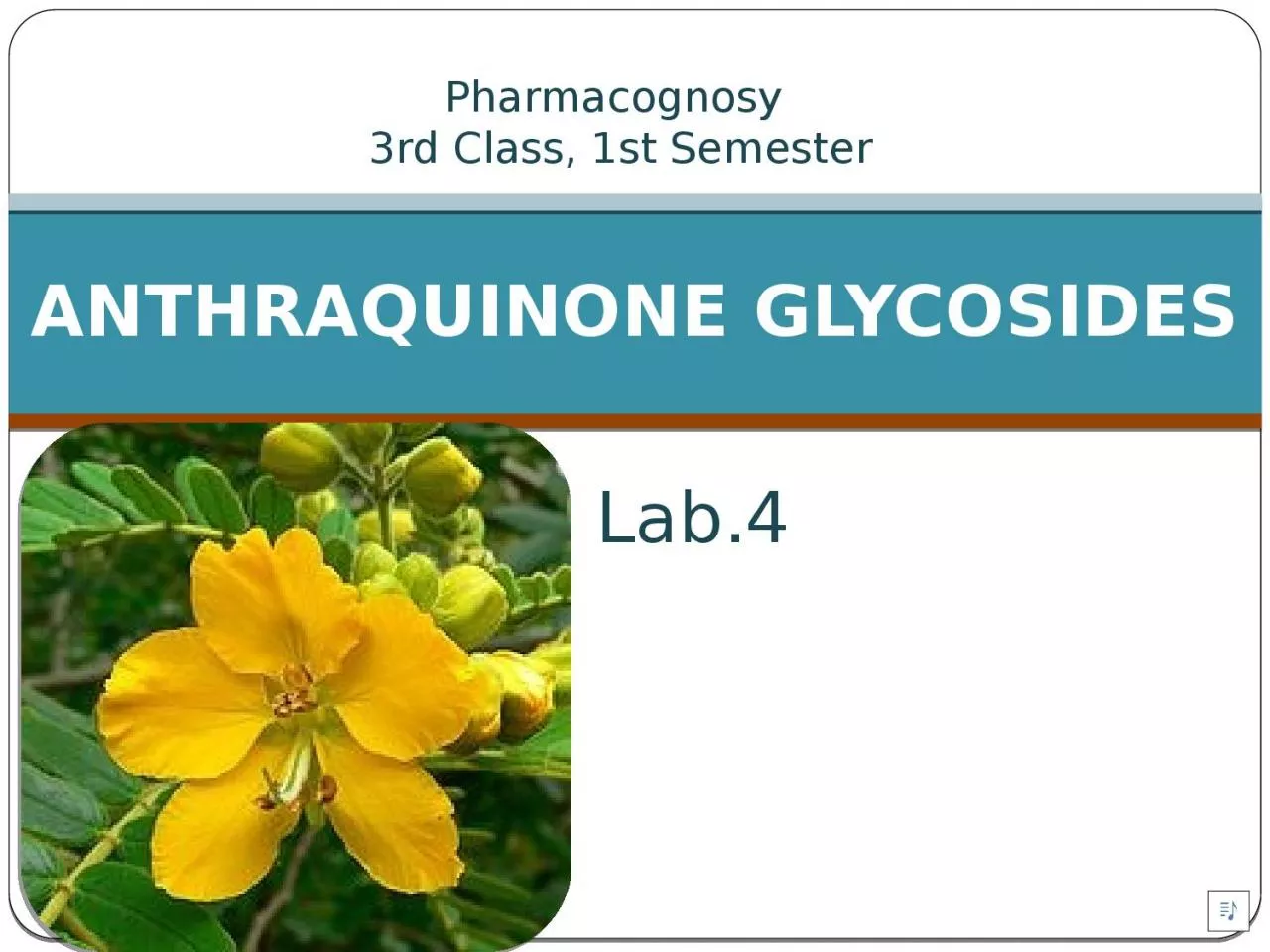 PPT-Lab.4 ANTHRAQUINONE GLYCOSIDES