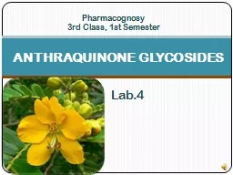 Lab.4 ANTHRAQUINONE GLYCOSIDES