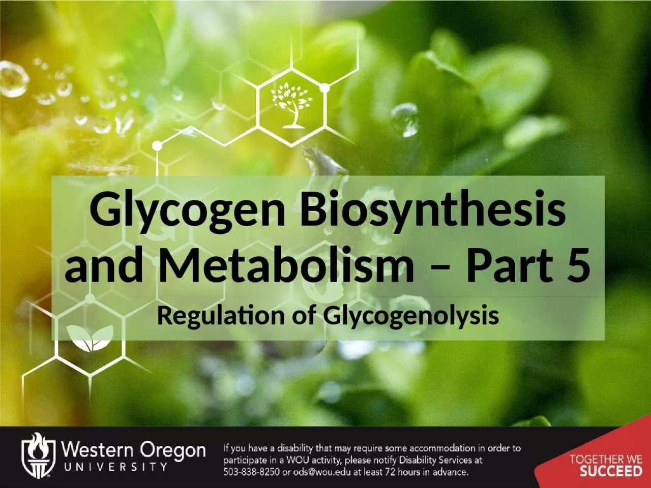 Glycogen Biosynthesis and Metabolism – Part 5