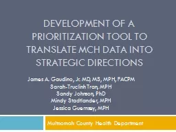 Development of a prioritization tool to translate MCH data into strategic directions