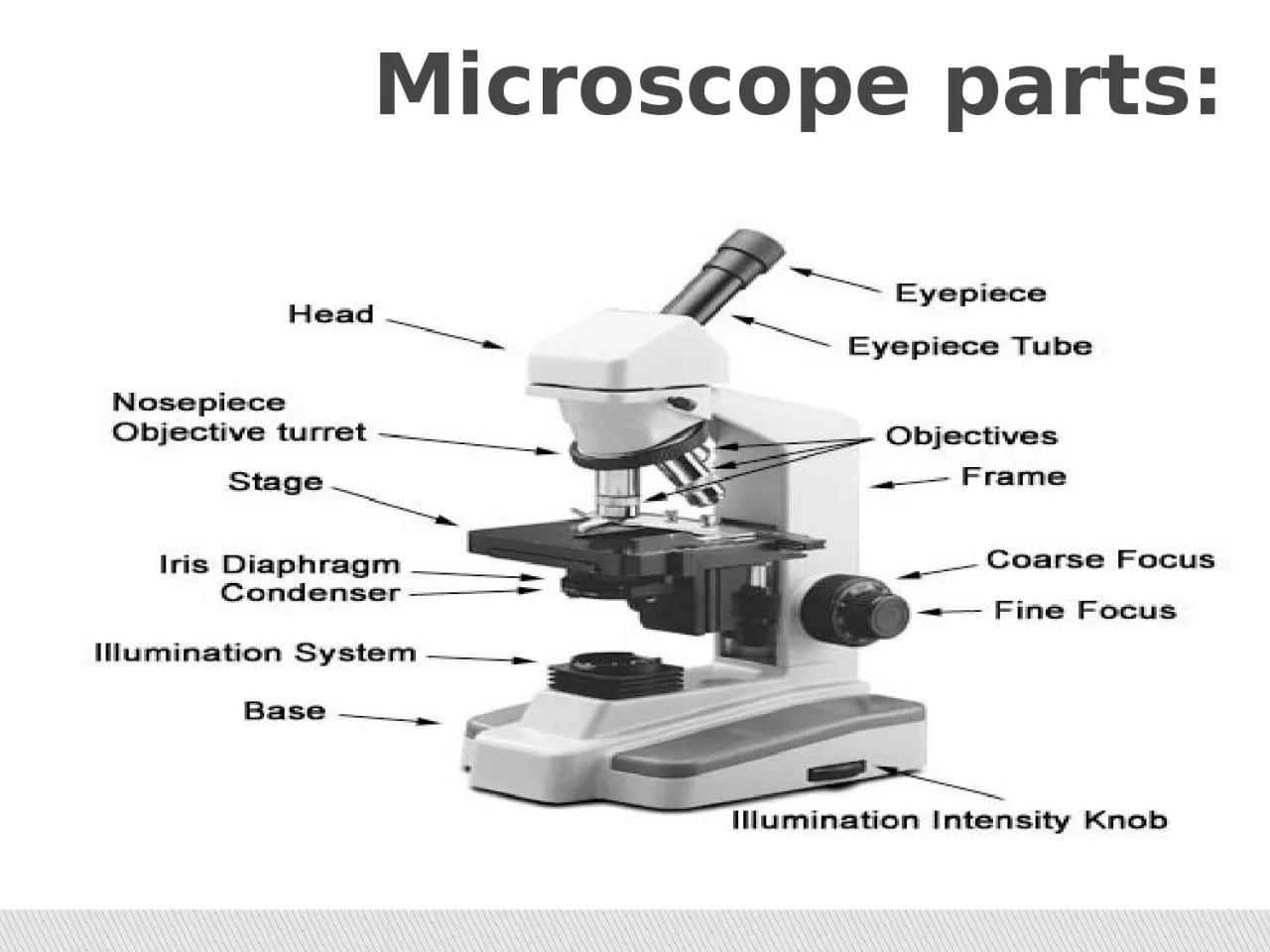 Microscope parts: Normal range: