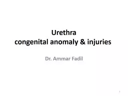 Urethra  congenital anomaly & injuries