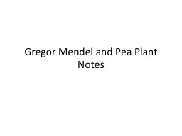 Gregor  Mendel and Pea Plant Notes