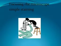 Focusing the microscope simple staining