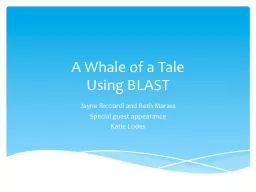 A Whale of a Tale Using BLAST