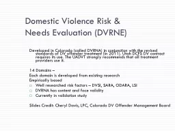 Domestic Violence Risk &