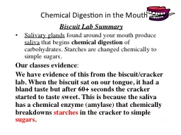 Chemical Digestion in the Mouth