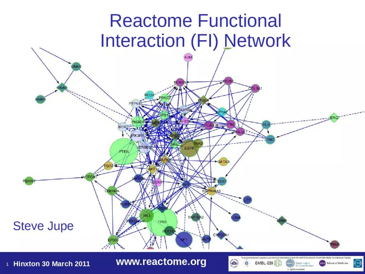 PPT-Reactome Functional Interaction (FI) Network