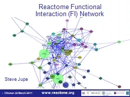 Reactome Functional Interaction (FI) Network