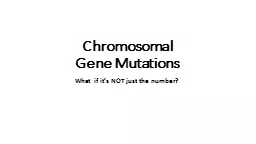 Chromosomal  Gene Mutations