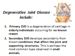 Degenerative Joint  Disease include: