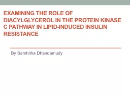 Examining the Role of Diacylglycerol in the Protein Kinase C Pathway in Lipid-Induced