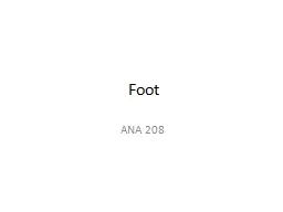 Foot  ANA  208 FOOT Ankle: the