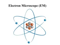 Electron Microscope (EM)