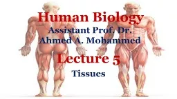 Human Biology   Assistant Prof. Dr.