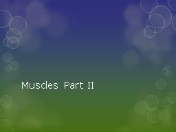 Muscles Part II MUSCLE CONTRACTIONS
