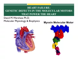 Heart Failure:  Genetic Defects