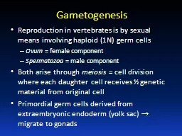 Gametogenesis Reproduction in vertebrates is by sexual means involving haploid (1N) germ cells