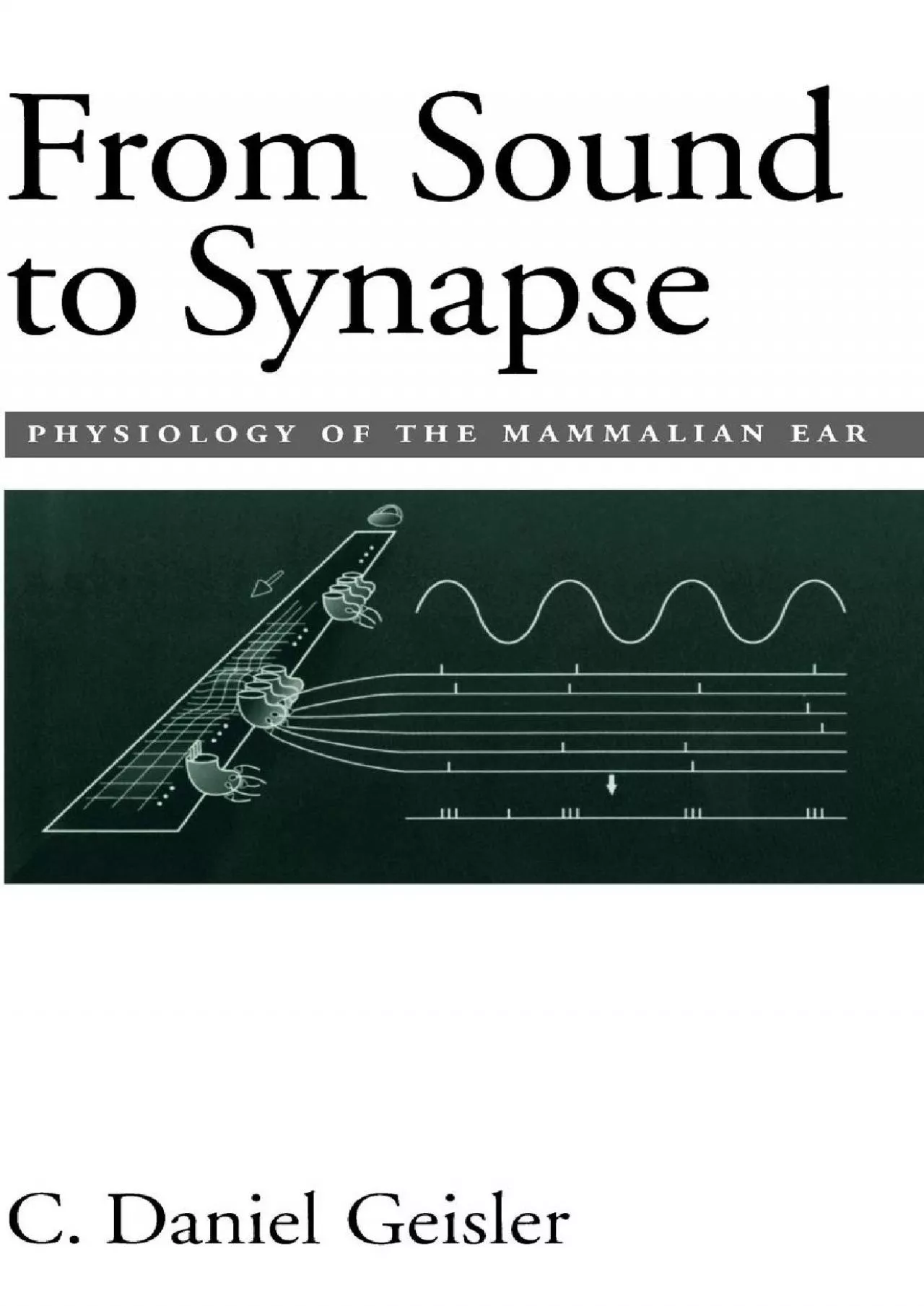 (READ)-From Sound to Synapse: Physiology of the Mammalian Ear