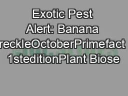 Exotic Pest Alert: Banana reckleOctoberPrimefact 1steditionPlant Biose