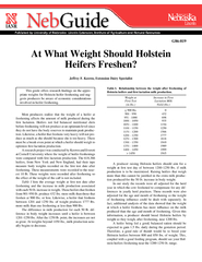 At What Weight Should Holstein Heifers Freshen?