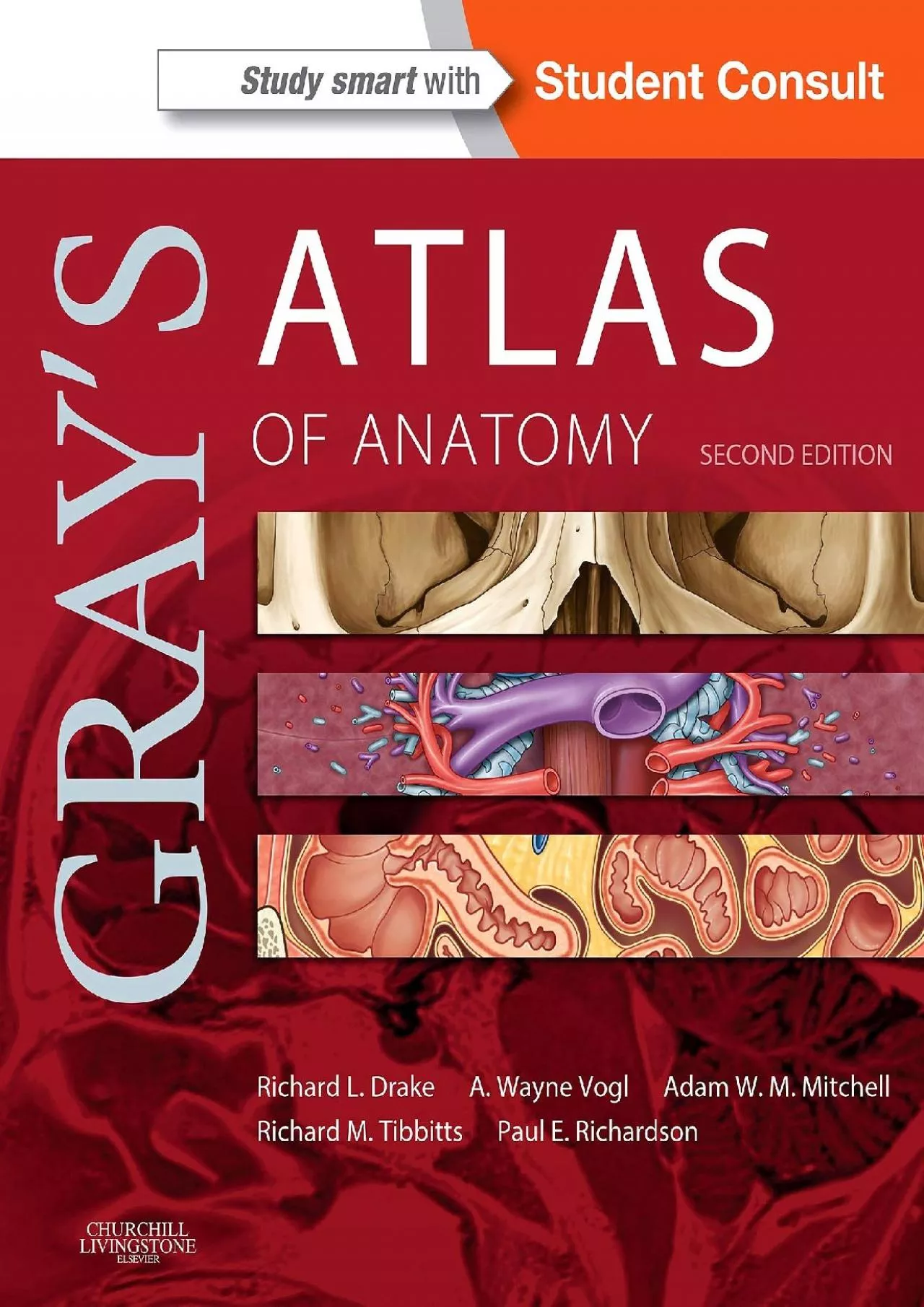 PDF-(EBOOK)-Gray\'s Atlas of Anatomy E-Book (Gray\'s Anatomy)