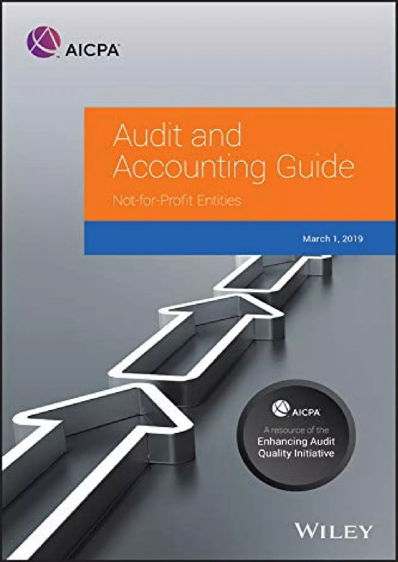 (BOOK)-Auditing and Accounting Guide: Not-for-Profit Entities, 2019 (AICPA Audit and Accounting