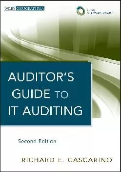 (BOOS)-Auditor\'s Guide to IT Auditing