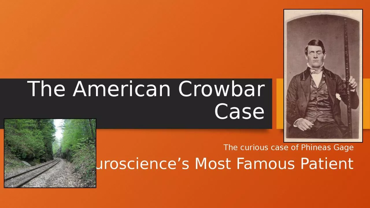 PPT-The American Crowbar Case