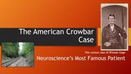 The American Crowbar Case