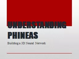 UNDERSTANDING PHINEAS Building a 3D Neural Network