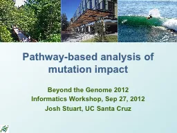 Pathway-based analysis of mutation impact