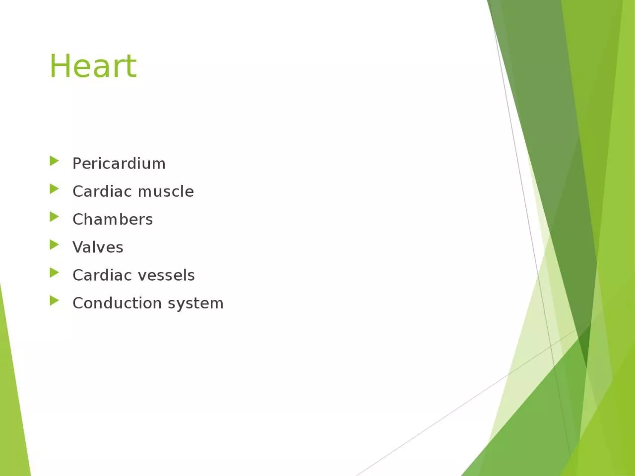 PPT-Heart Pericardium Cardiac muscle